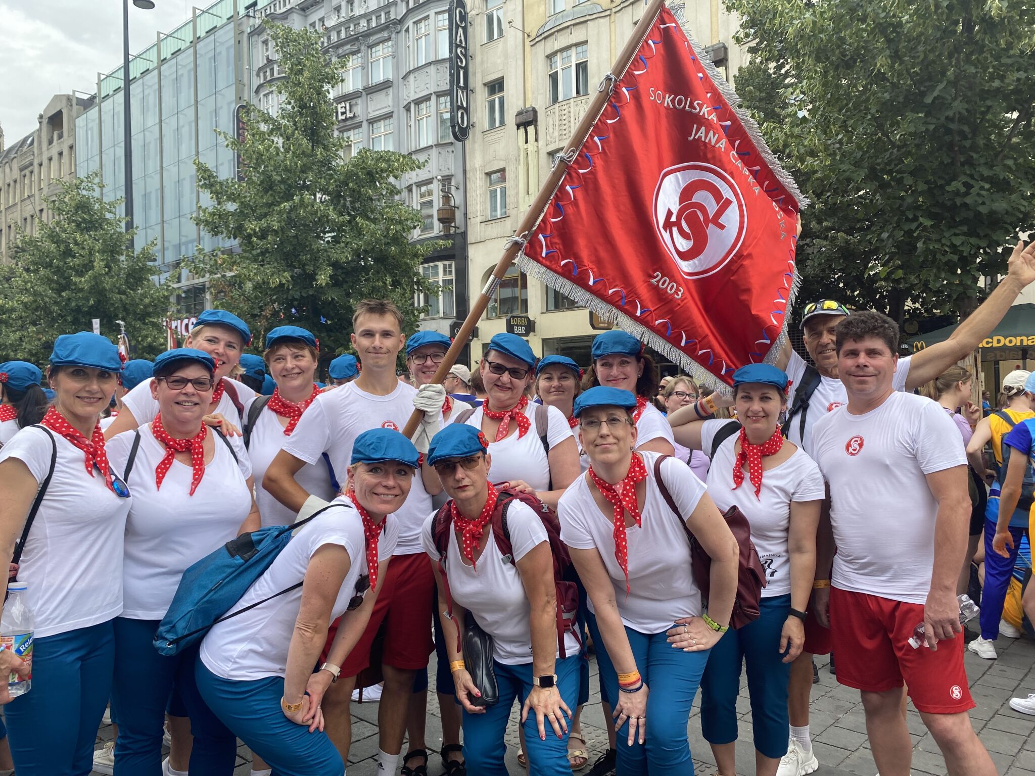 Sokolové s praporem na sletu